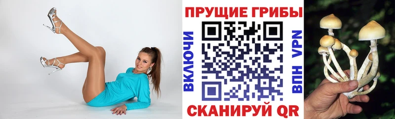 Галлюциногенные грибы GOLDEN TEACHER Гаджиево